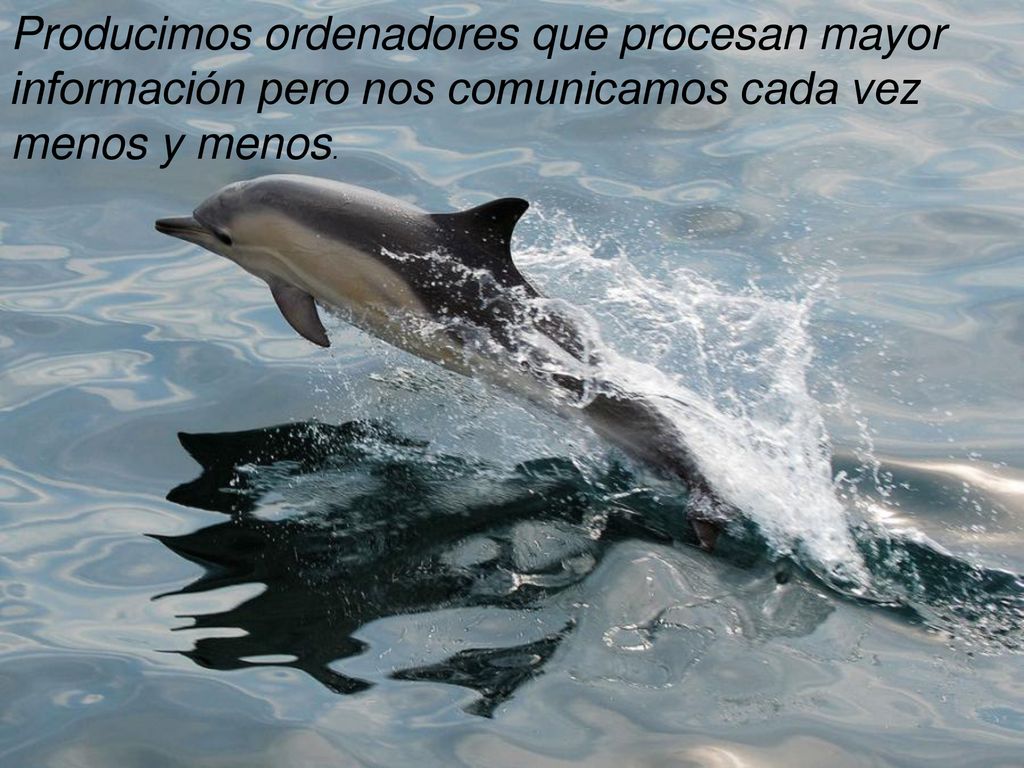 Producimos ordenadores que procesan mayor información pero nos comunicamos cada vez menos y menos.