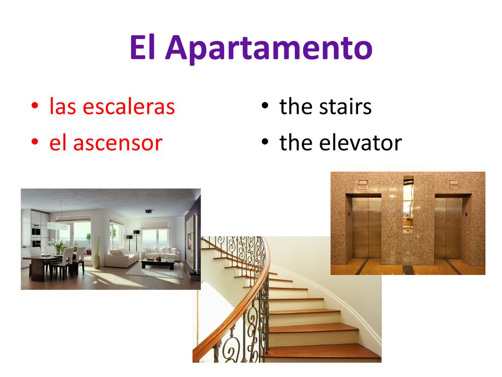 El Apartamento las escaleras el ascensor the stairs the elevator