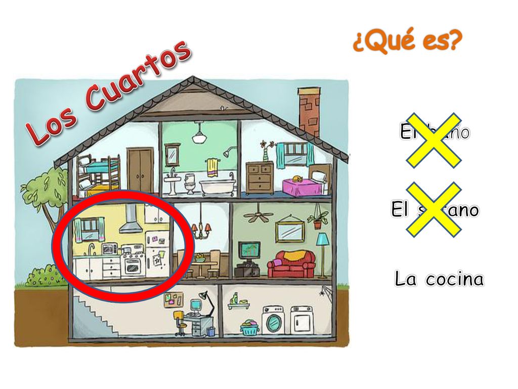 ¿Qué es Los Cuartos El baño El sótano La cocina