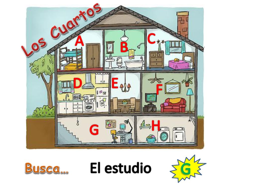 Los Cuartos C A B D E F H G El estudio G Busca…