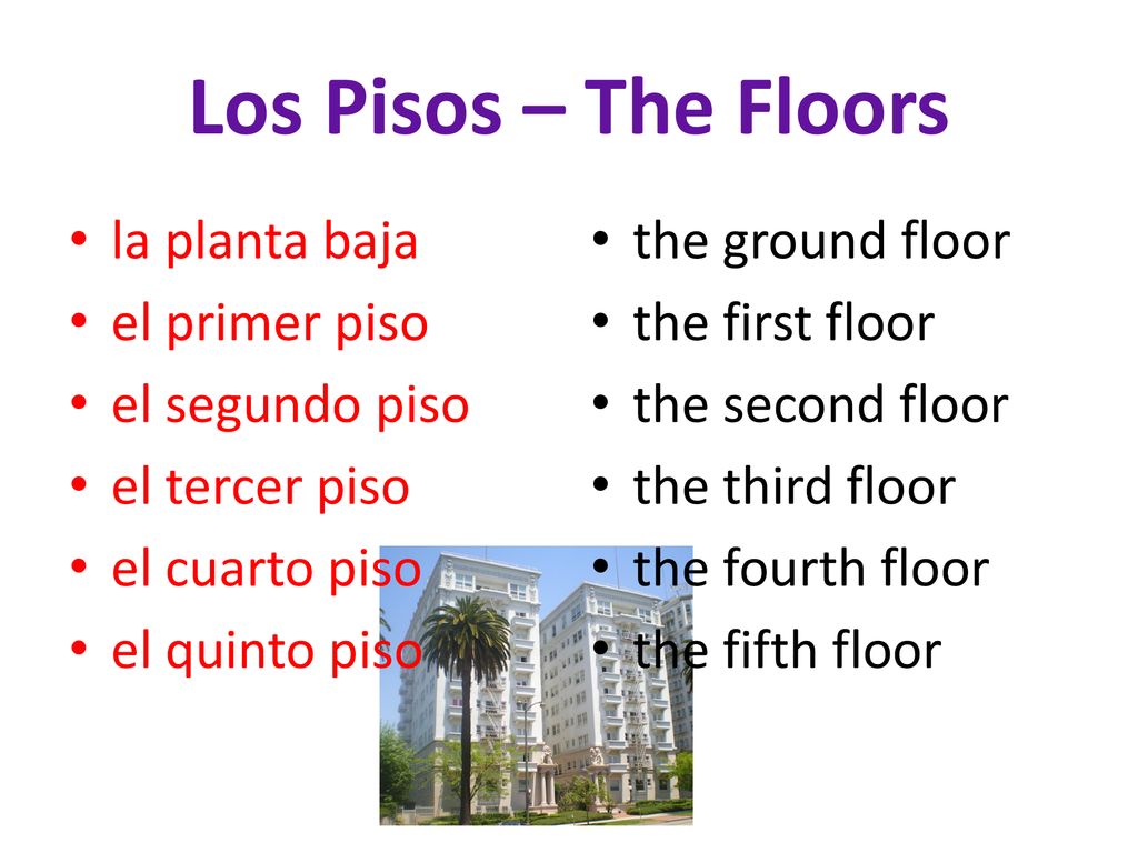 Los Pisos – The Floors la planta baja el primer piso el segundo piso