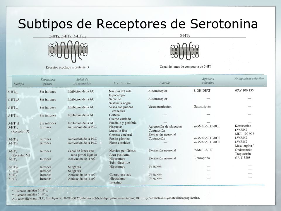 Subtipos de Receptores de Serotonina
