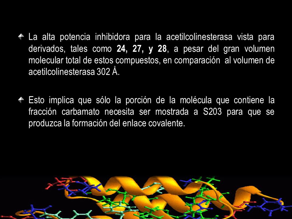La alta potencia inhibidora para la acetilcolinesterasa vista para derivados, tales como 24, 27, y 28, a pesar del gran volumen molecular total de estos compuestos, en comparación al volumen de acetilcolinesterasa 302 Å.