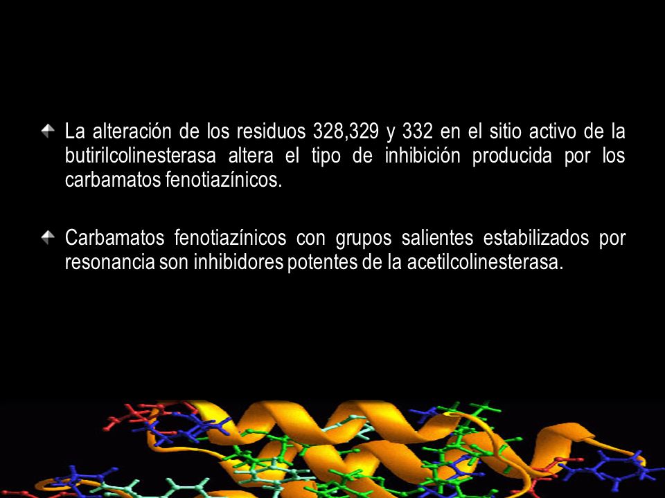 La alteración de los residuos 328,329 y 332 en el sitio activo de la butirilcolinesterasa altera el tipo de inhibición producida por los carbamatos fenotiazínicos.