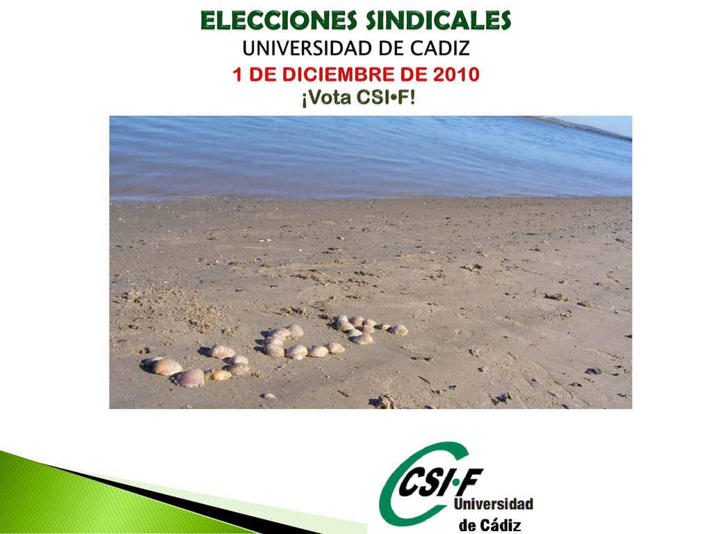ELECCIONES SINDICALES UNIVERSIDAD DE CADIZ 1 DE DICIEMBRE DE 2010 ¡Vota CSI•F!