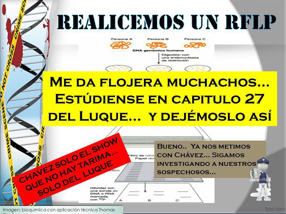 CHAVEZ SOLO EL SHOW QUE NO HAY TARIMA… SOLO DEL LUQUE