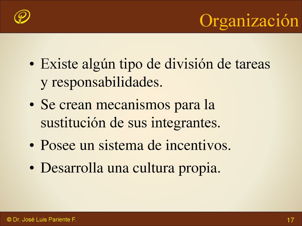 Organización Existe algún tipo de división de tareas y responsabilidades. Se crean mecanismos para la sustitución de sus integrantes.