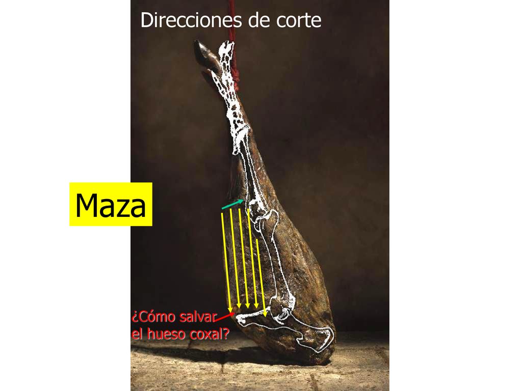 Direcciones de corte Maza ¿Cómo salvar el hueso coxal