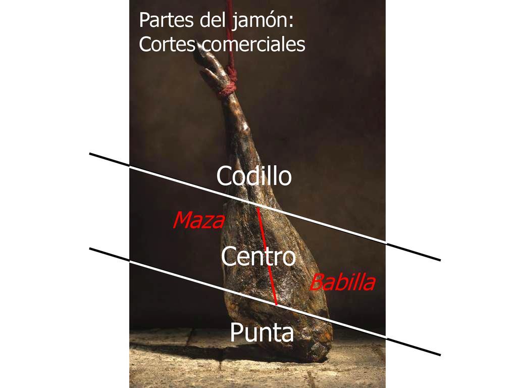 Partes del jamón: Cortes comerciales Codillo Maza Centro Babilla Punta
