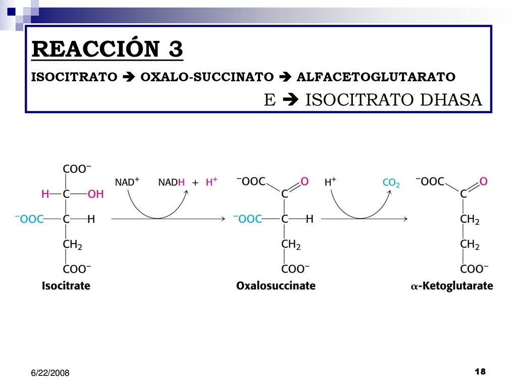 REACCIÓN 3 ISOCITRATO  OXALO-SUCCINATO  ALFACETOGLUTARATO E  ISOCITRATO DHASA