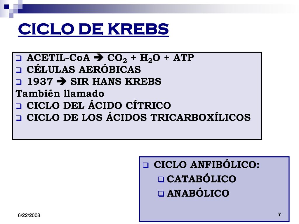CICLO DE KREBS ACETIL-CoA  CO2 + H2O + ATP CÉLULAS AERÓBICAS