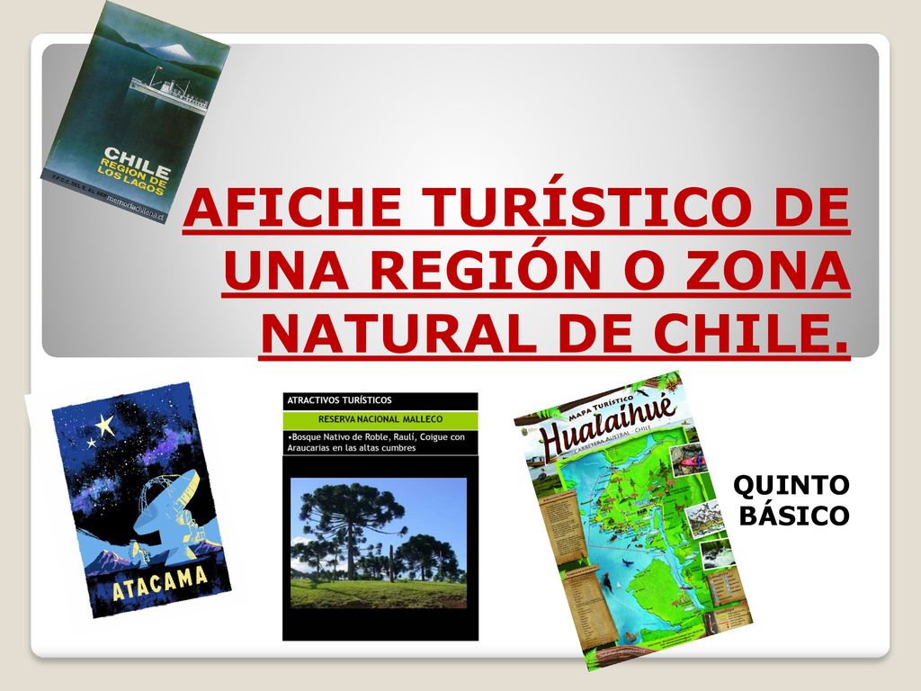 AFICHE TURÍSTICO DE UNA REGIÓN O ZONA NATURAL DE CHILE.