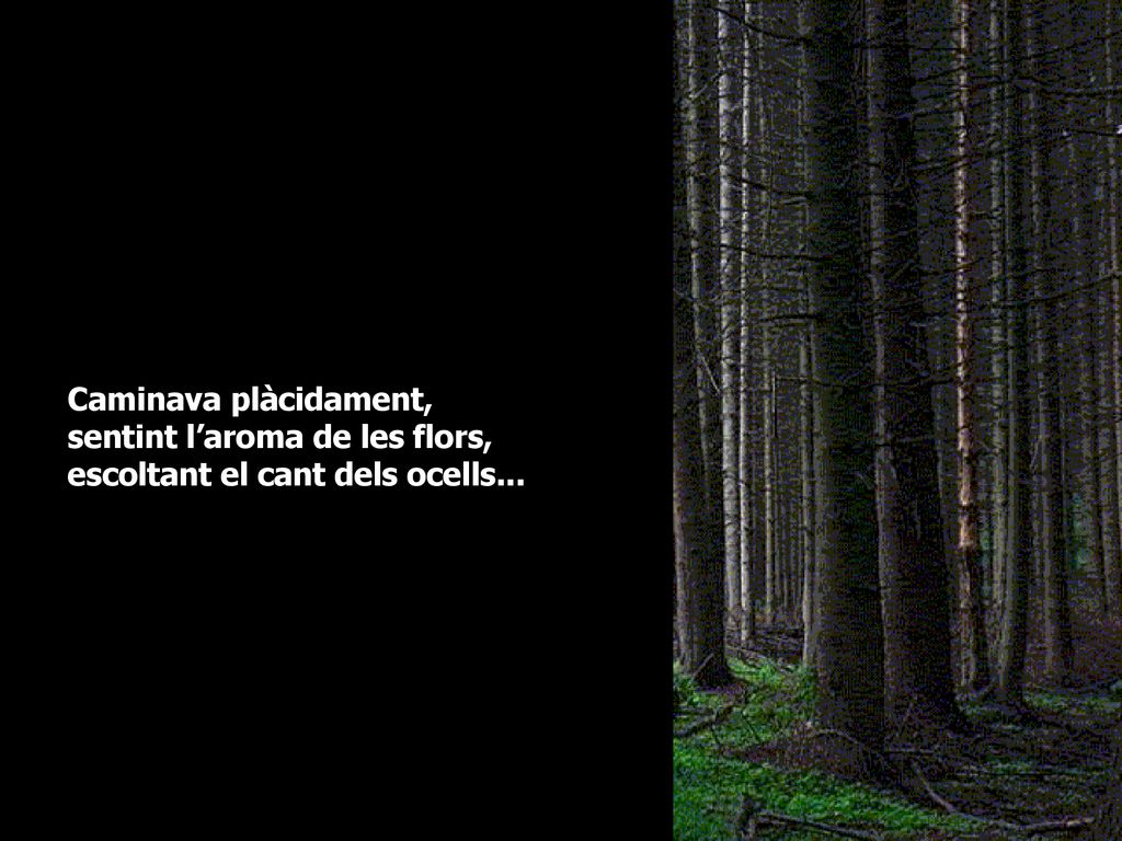 Caminava plàcidament, sentint l’aroma de les flors, escoltant el cant dels ocells...