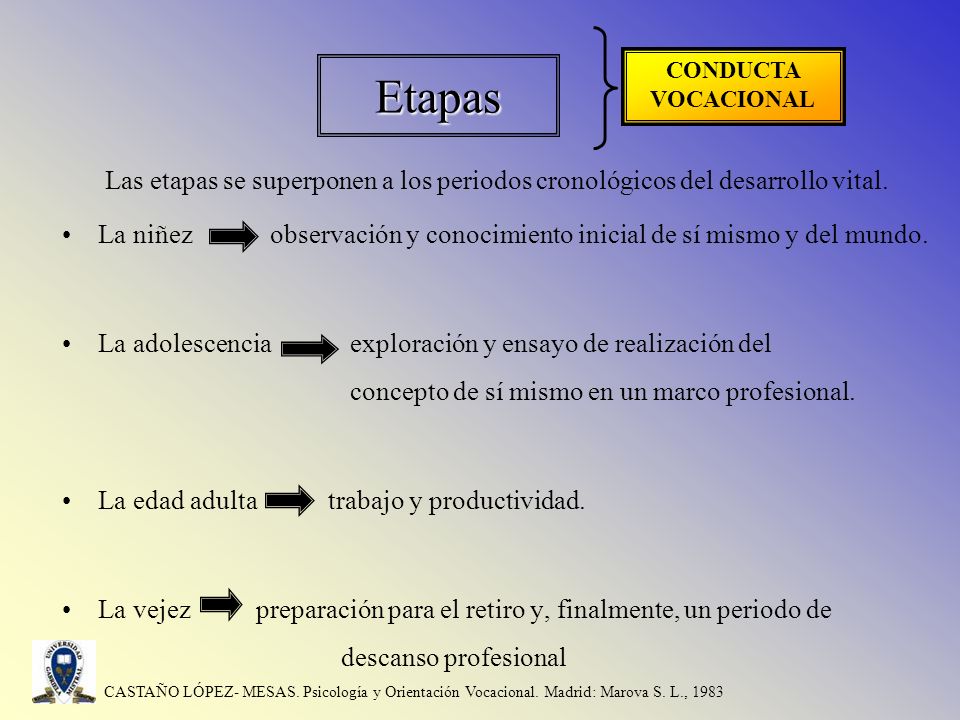 Etapas CONDUCTA VOCACIONAL. Las etapas se superponen a los periodos cronológicos del desarrollo vital.