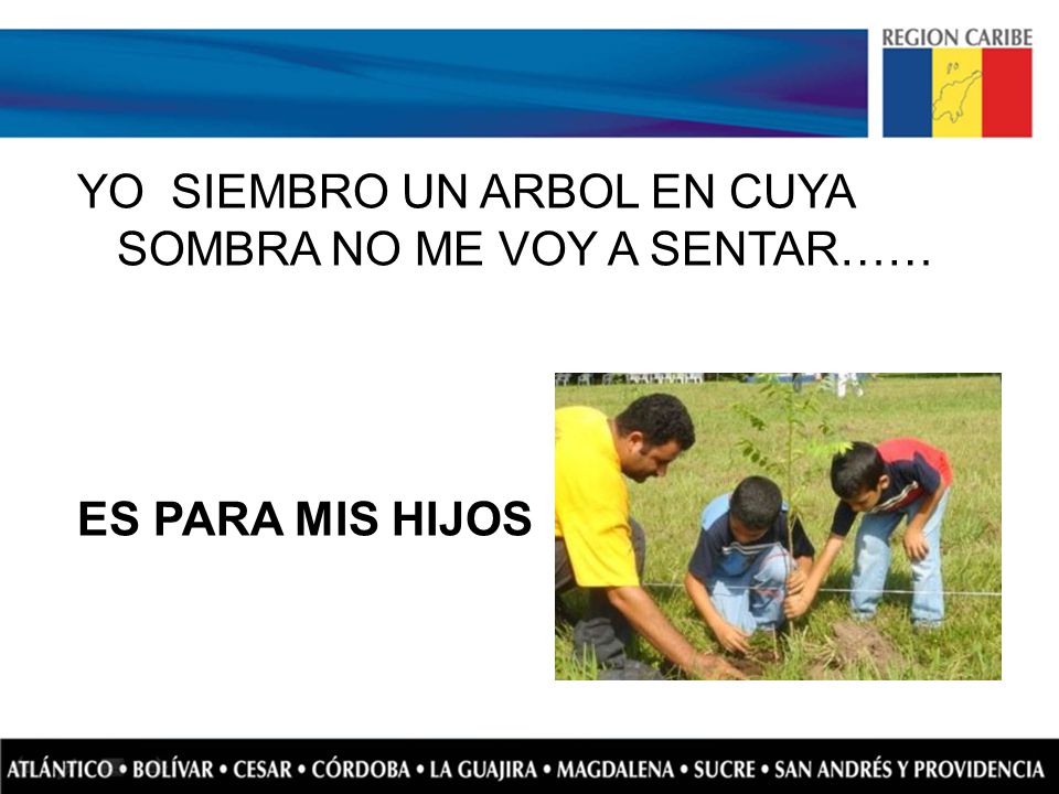YO SIEMBRO UN ARBOL EN CUYA SOMBRA NO ME VOY A SENTAR…… ES PARA MIS HIJOS
