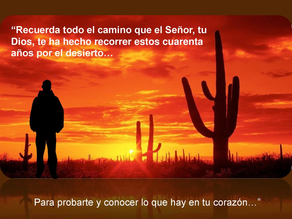 Recuerda todo el camino que el Señor, tu Dios, te ha hecho recorrer estos cuarenta años por el desierto…