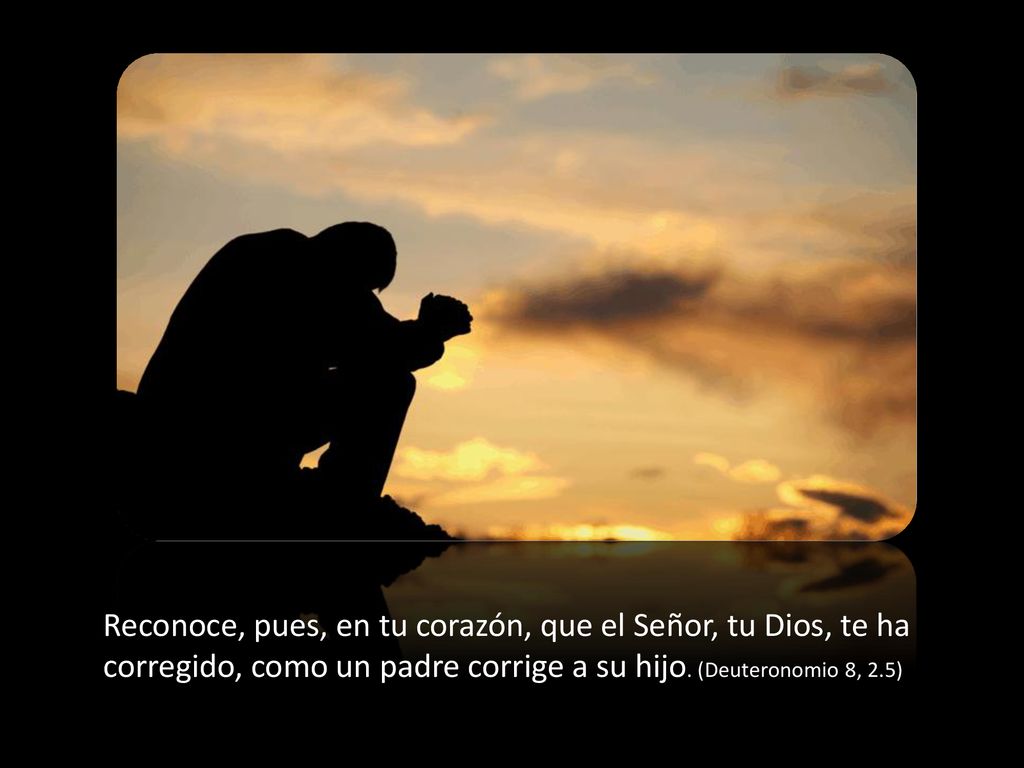 Reconoce, pues, en tu corazón, que el Señor, tu Dios, te ha corregido, como un padre corrige a su hijo.