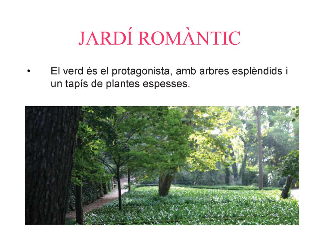 JARDÍ ROMÀNTIC El verd és el protagonista, amb arbres esplèndids i un tapís de plantes espesses.