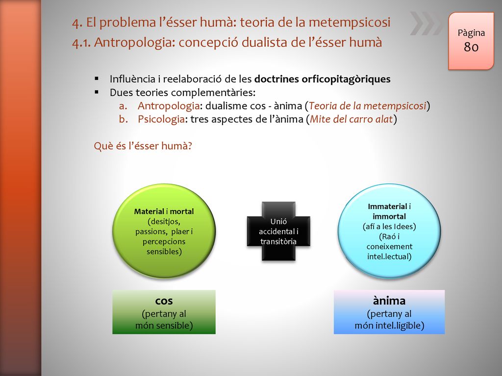 4. El problema l’ésser humà: teoria de la metempsicosi