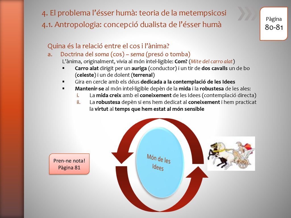 4. El problema l’ésser humà: teoria de la metempsicosi