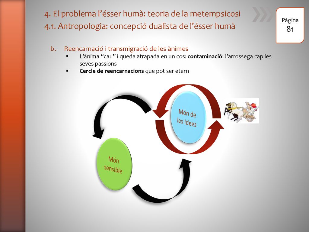 4. El problema l’ésser humà: teoria de la metempsicosi