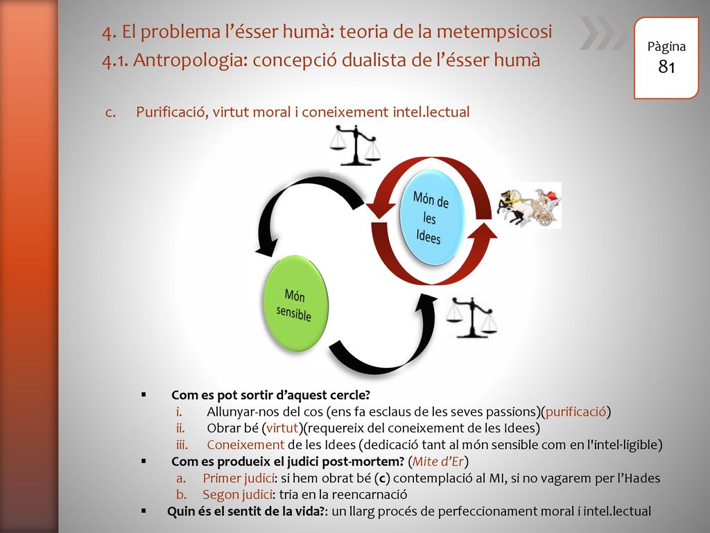 4. El problema l’ésser humà: teoria de la metempsicosi