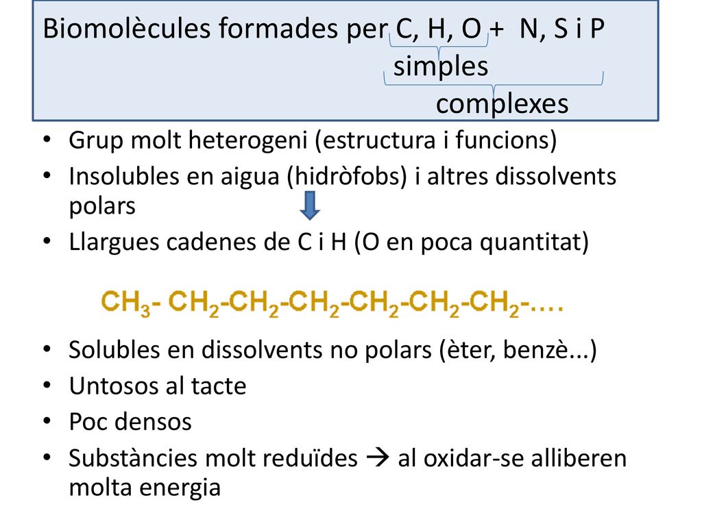 Biomolècules formades per C, H, O + N, S i P simples complexes