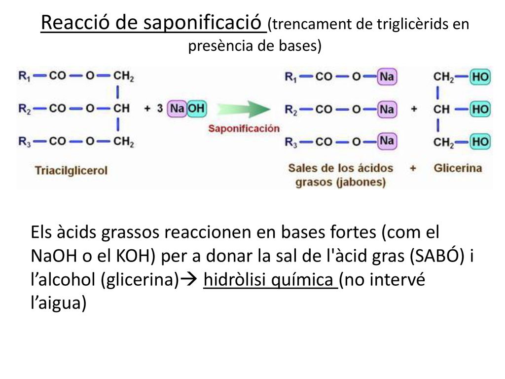 Reacció de saponificació (trencament de triglicèrids en presència de bases)