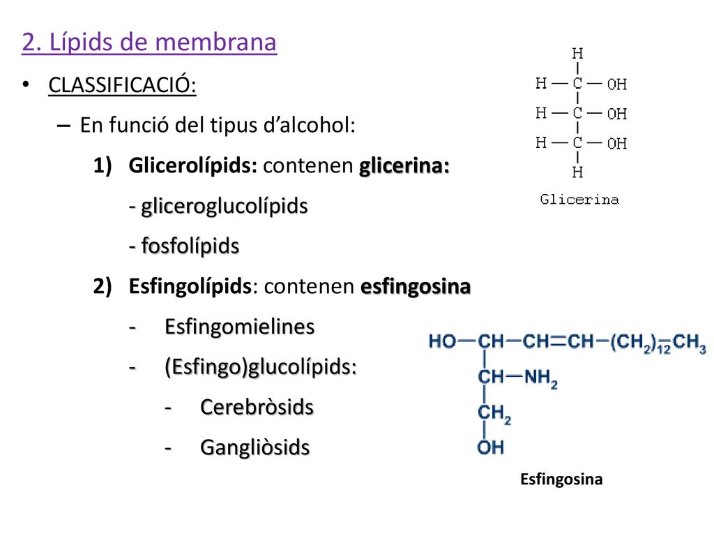2. Lípids de membrana CLASSIFICACIÓ: En funció del tipus d’alcohol: