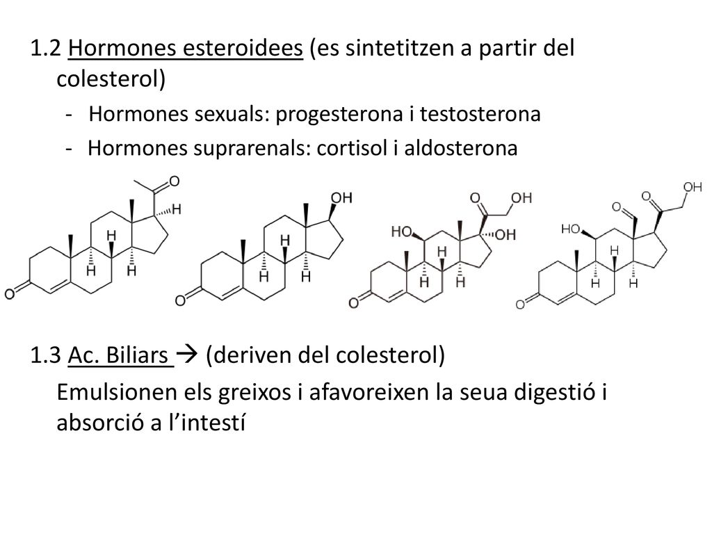 1.2 Hormones esteroidees (es sintetitzen a partir del colesterol)
