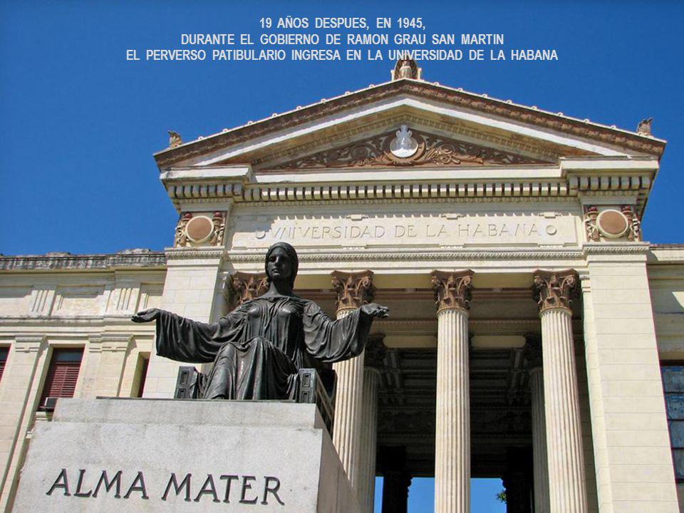 19 AÑOS DESPUES, EN 1945, DURANTE EL GOBIERNO DE RAMON GRAU SAN MARTIN EL PERVERSO PATIBULARIO INGRESA EN LA UNIVERSIDAD DE LA HABANA