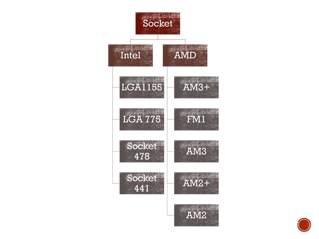 Socket Intel LGA1155 LGA 775 Socket 478 Socket 441 AMD AM3+ FM1 AM3 AM2+ AM2