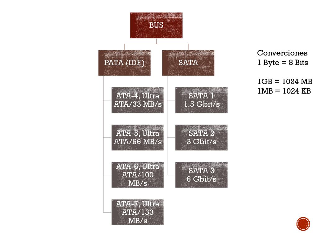 BUS PATA (IDE) ATA-4, Ultra ATA/33 MB/s. ATA-5, Ultra ATA/66 MB/s. ATA-6, Ultra ATA/100 MB/s. ATA-7, Ultra ATA/133 MB/s.