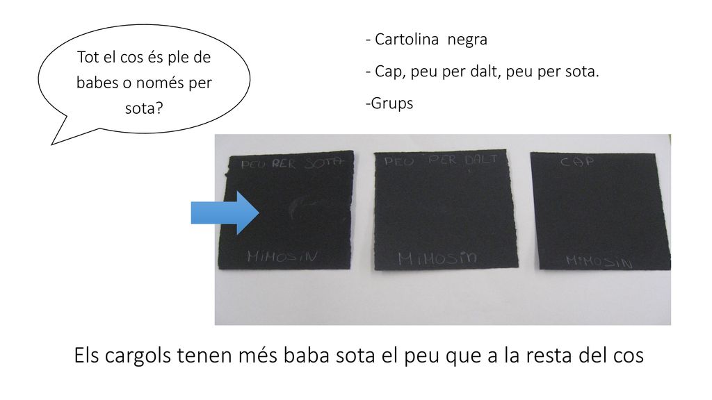Tot el cos és ple de babes o només per sota