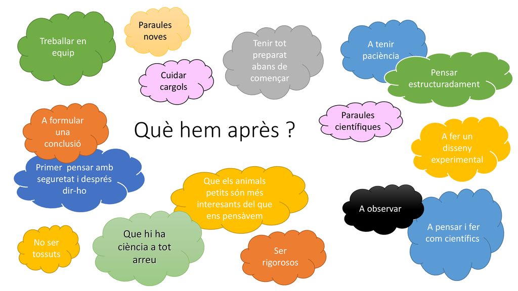 Què hem après Que hi ha ciència a tot arreu Paraules noves