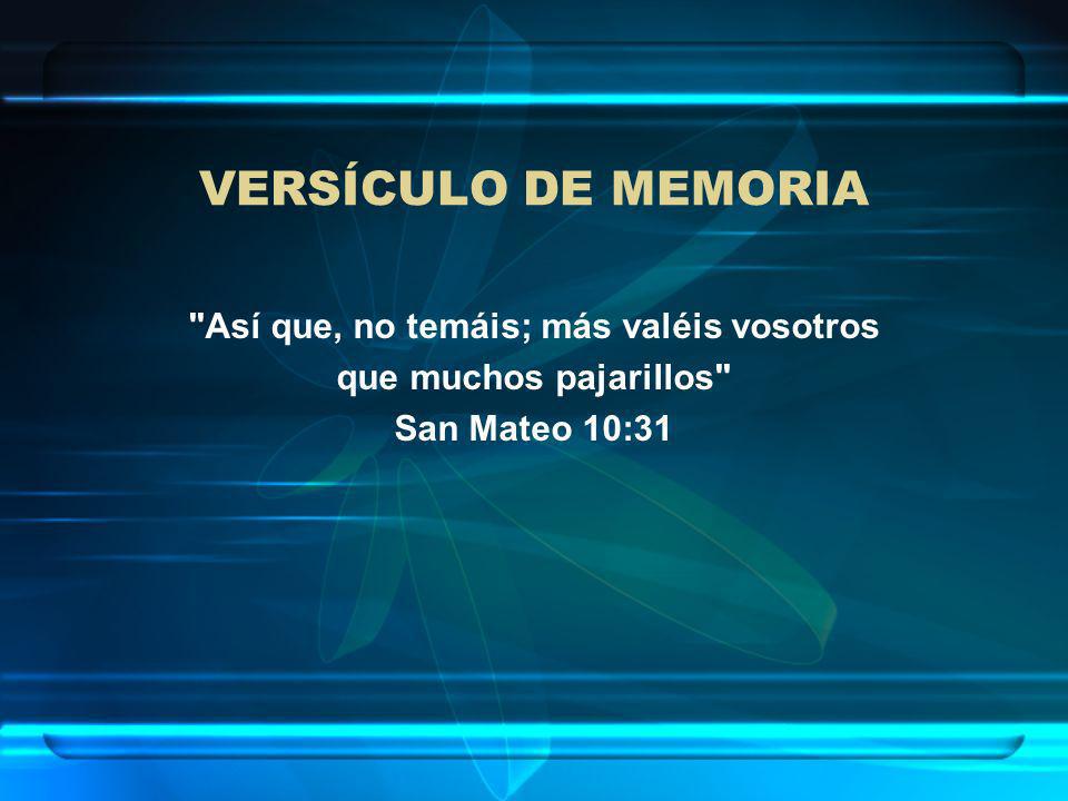 Así que, no temáis; más valéis vosotros