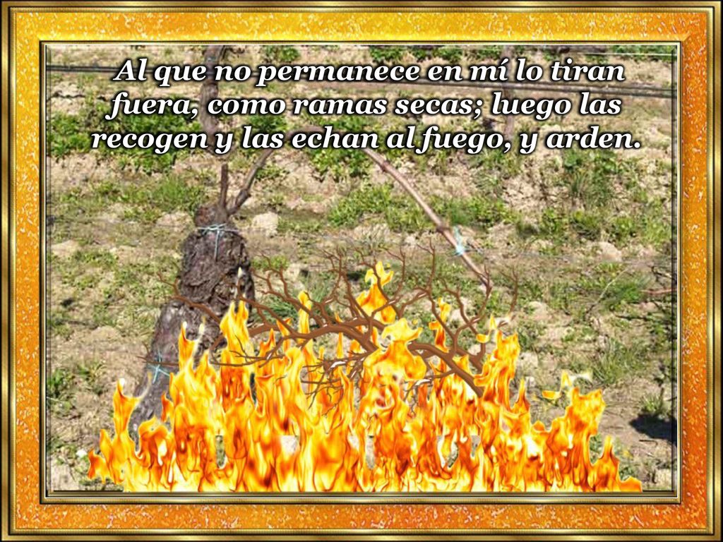Al que no permanece en mí lo tiran fuera, como ramas secas; luego las recogen y las echan al fuego, y arden.