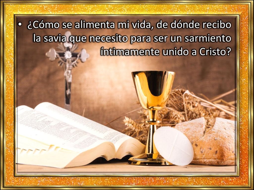 ¿Cómo se alimenta mi vida, de dónde recibo la savia que necesito para ser un sarmiento íntimamente unido a Cristo