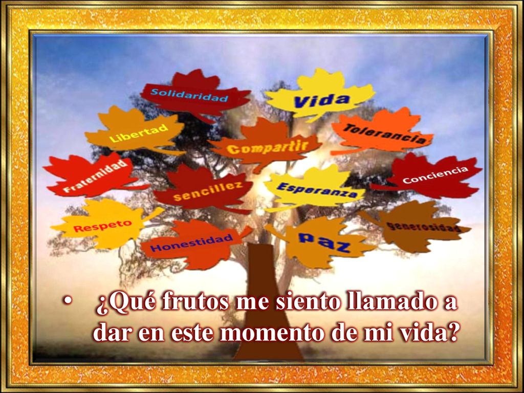 ¿Qué frutos me siento llamado a dar en este momento de mi vida