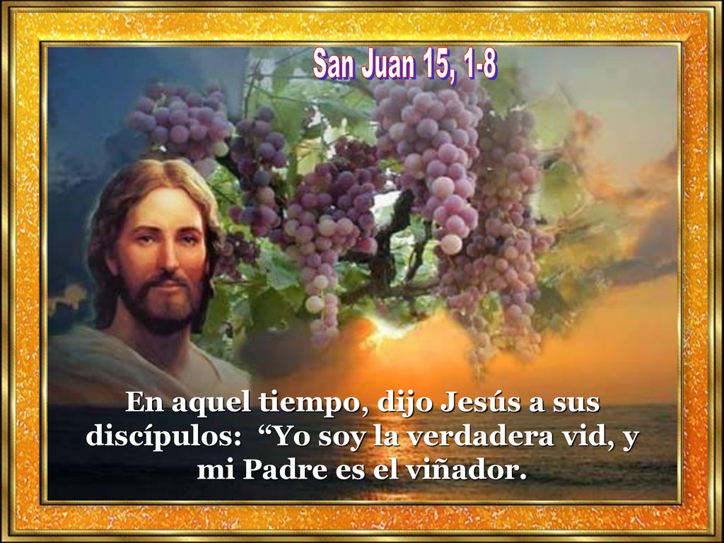 San Juan 15, 1-8 En aquel tiempo, dijo Jesús a sus discípulos: Yo soy la verdadera vid, y mi Padre es el viñador.
