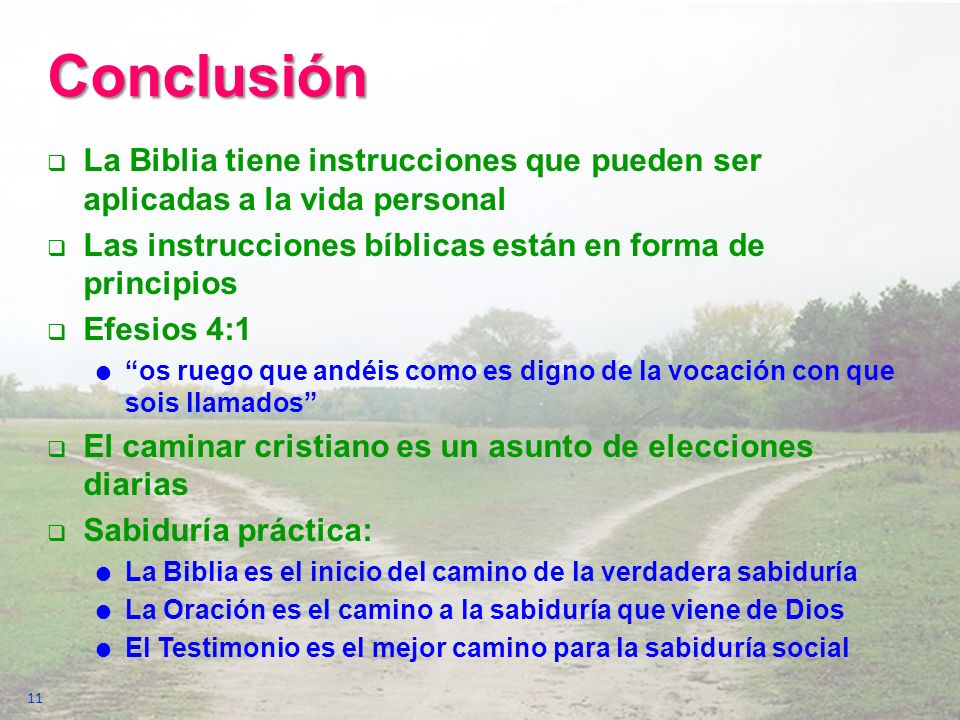 Conclusión La Biblia tiene instrucciones que pueden ser aplicadas a la vida personal. Las instrucciones bíblicas están en forma de principios.