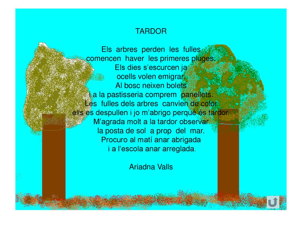 Els arbres perden les fulles comencen haver les primeres pluges.