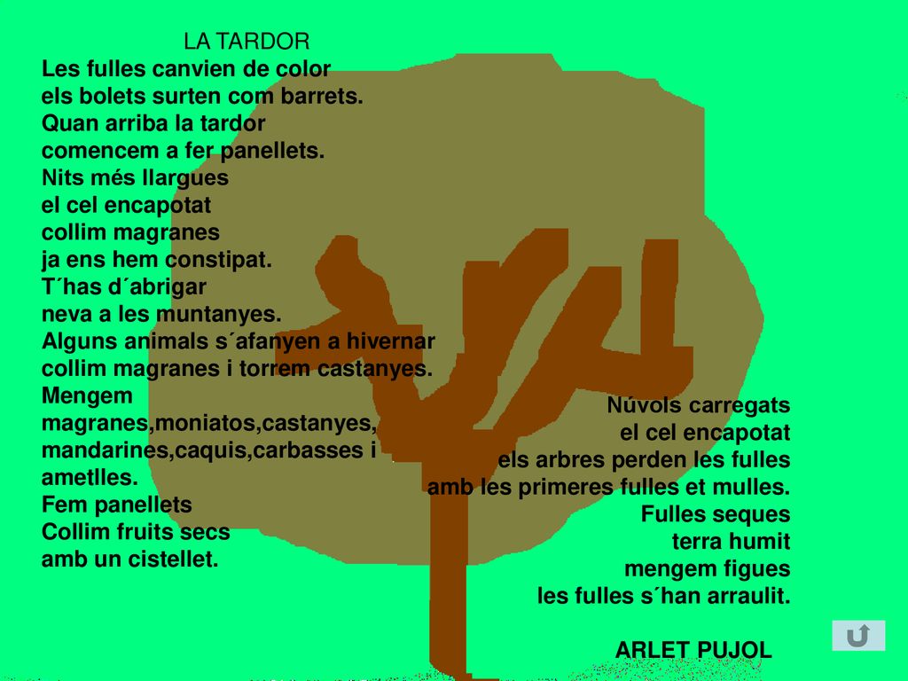 LA TARDOR Les fulles canvien de color. els bolets surten com barrets. Quan arriba la tardor. comencem a fer panellets.