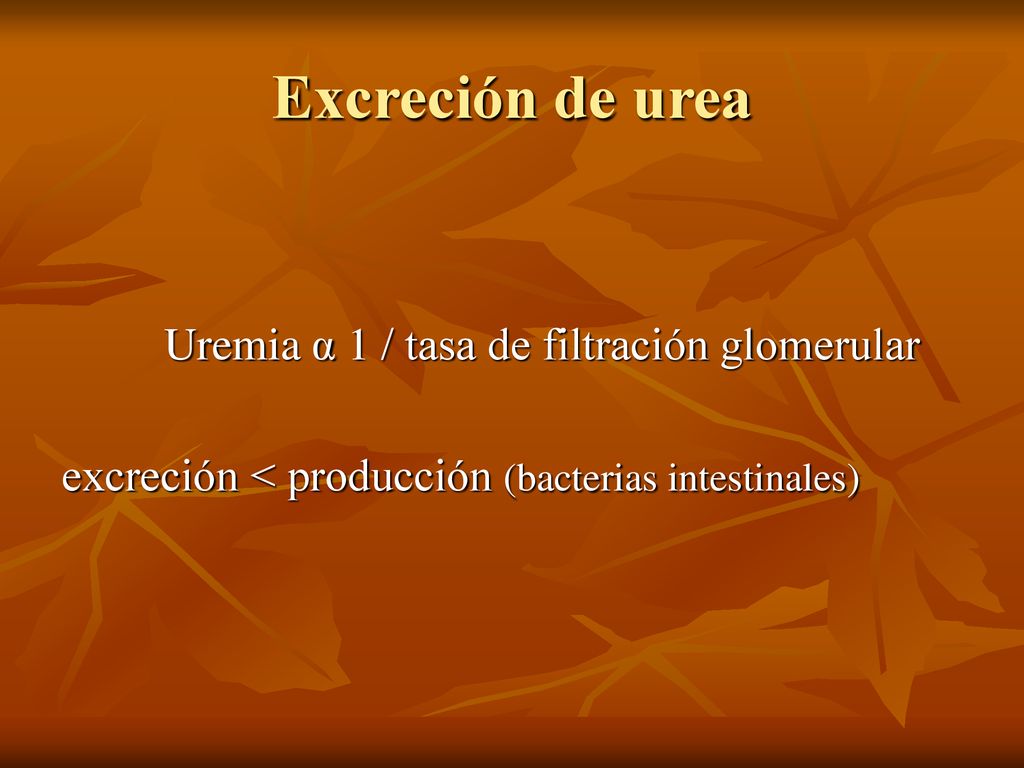 Excreción de urea Uremia α 1 / tasa de filtración glomerular