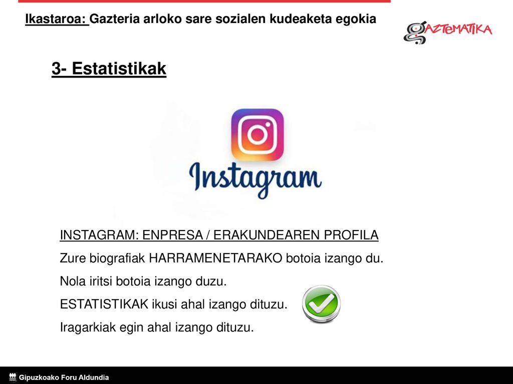 3- Estatistikak INSTAGRAM: ENPRESA / ERAKUNDEAREN PROFILA