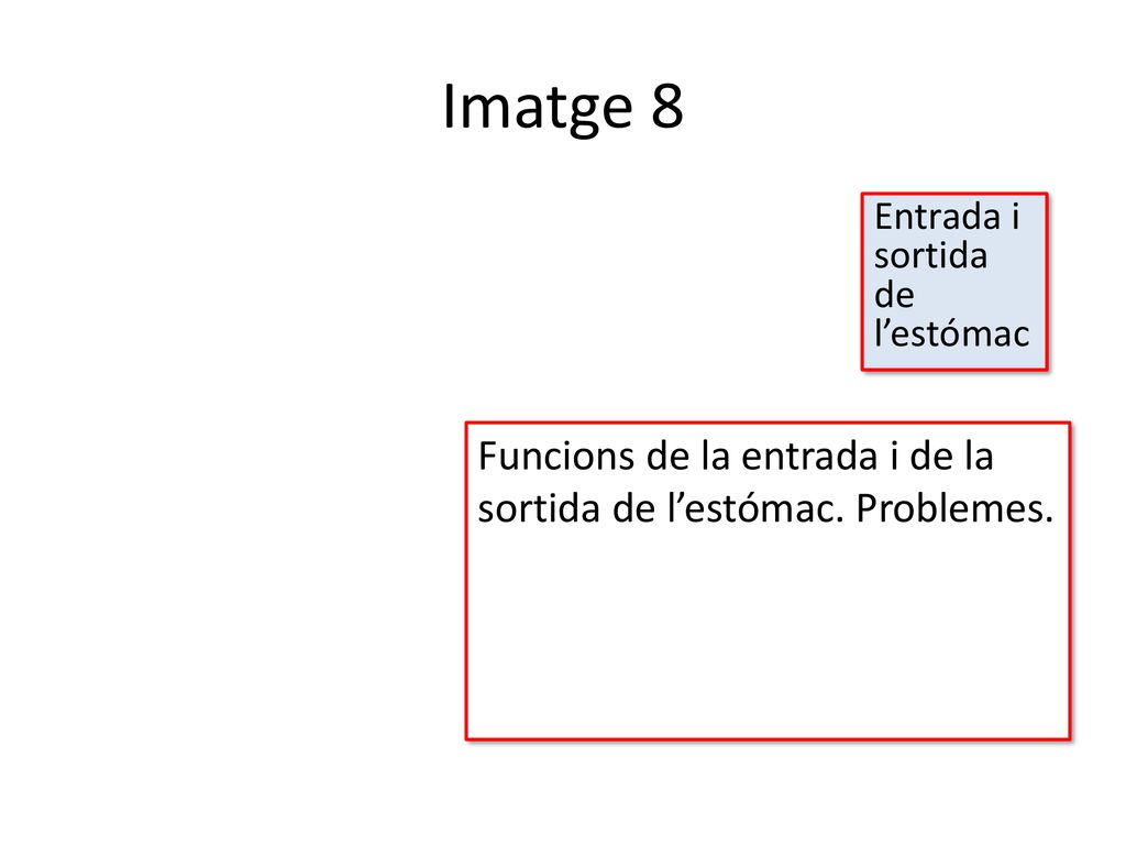 Imatge 8 Entrada i sortida de l’estómac. Funcions de la entrada i de la sortida de l’estómac.