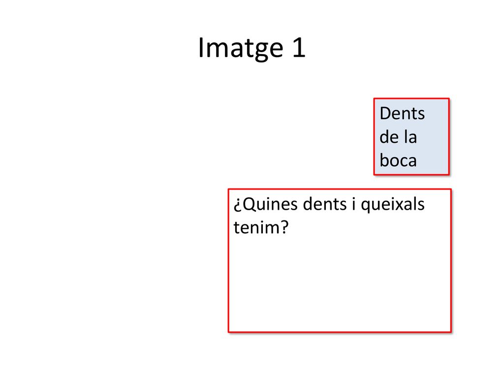 Imatge 1 Dents de la boca ¿Quines dents i queixals tenim