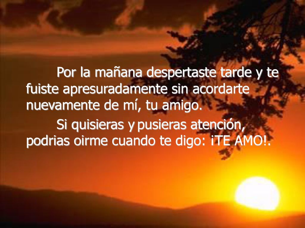 Por la mañana despertaste tarde y te fuiste apresuradamente sin acordarte nuevamente de mí, tu amigo.