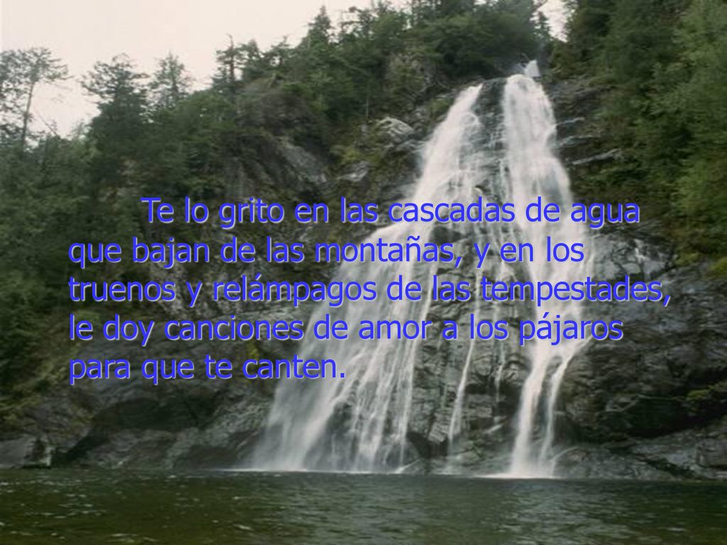 Te lo grito en las cascadas de agua que bajan de las montañas, y en los truenos y relámpagos de las tempestades, le doy canciones de amor a los pájaros para que te canten.