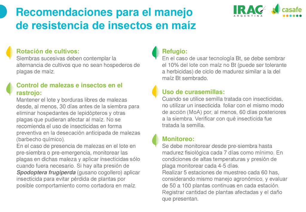 Recomendaciones para el manejo de resistencia de insectos en maíz